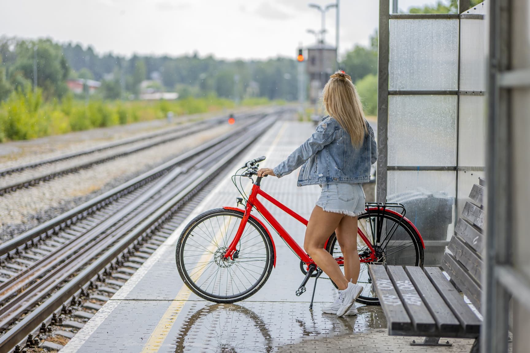 strapi-seed-1772804059461-p1044772-copy-scaled